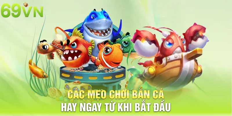 Các mẹo chơi bắn cá hay ngay từ khi bắt đầu